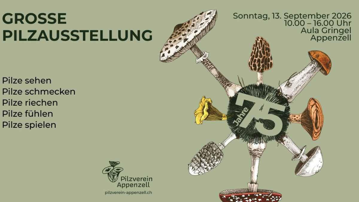 Grosse Pilzausstellung